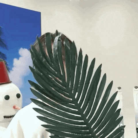 a person is holding a palm tree leaf in front of their face .