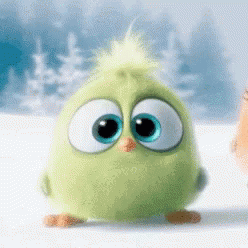 Angry Birds Fly GIF - Angry Birds Fly Look Up GIFs