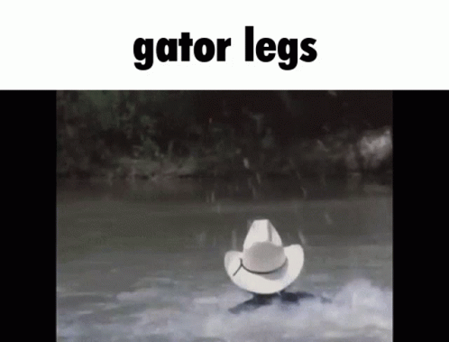 Gator Legs Gator GIF - Gator Legs Gator Legs GIFs