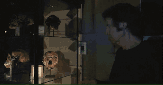a man holds a skull in his hand in front of a display case full of skulls
