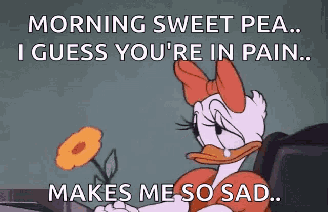 a cartoon of daisy duck holding a flower with the words morning sweet pea i guess you 're in pain