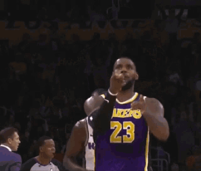 a basketball player wearing a purple jersey with the number 23