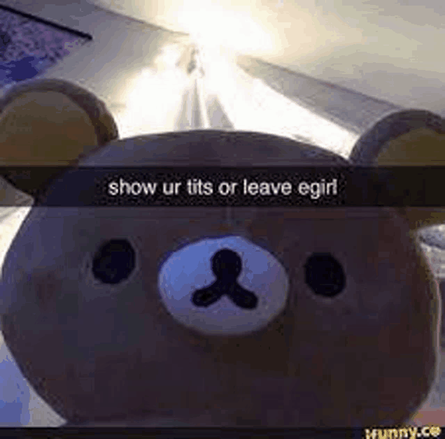 a stuffed teddy bear with a caption that says `` show ur tits or leave egirl '' is on a bed .