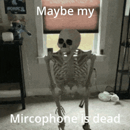 a skeleton is standing in front of a window with the words maybe my mircophone is dead written on it .