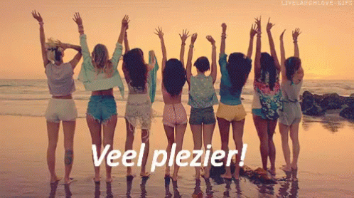 Veel Plezier GIF - Veel Plezier Geweldig Leuk GIFs