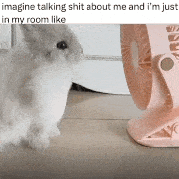 a rabbit is standing in front of a pink fan and looking at it .