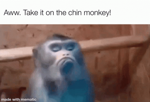 Chin Monkey GIF - Chin Monkey Take It GIFs