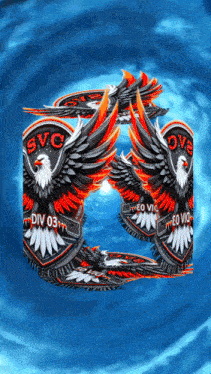 a blue background with a circle of eagles with the letters svc on them