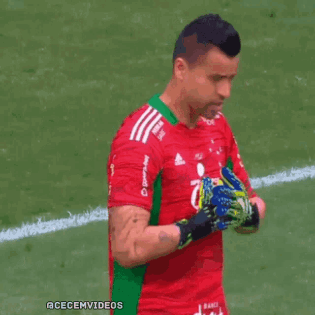 a soccer player in a red and green jersey with bh on it