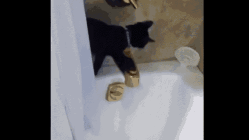 a black cat is standing next to a gold faucet in a bathtub .