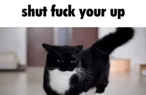 a black and white cat is running with the words shut fuck your up below it
