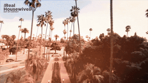 a picture of palm trees with the words real housewives out of context below it