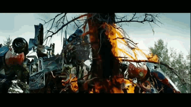 a pile of junk is burning in a forest with a tree in the foreground