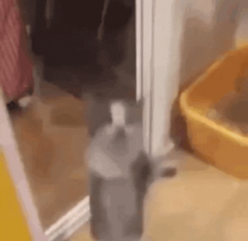a cat is standing next to a yellow cat litter box in a bathroom .