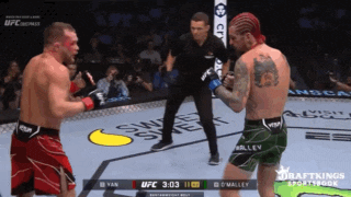 two men are fighting in a boxing ring and the ufc logo is visible