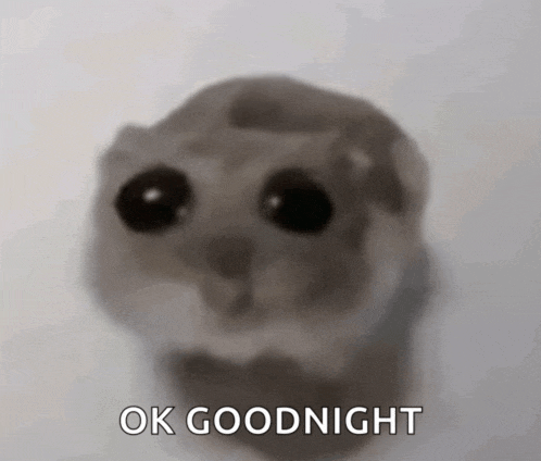 a close up of a hamster with the words ok goodnight above it
