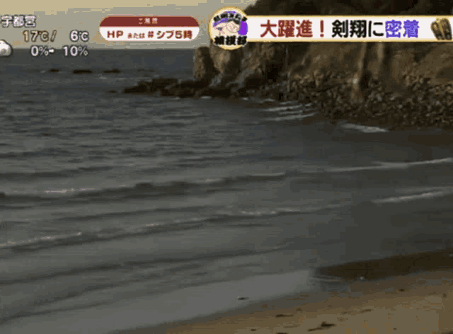 a cartoon of a person standing on a beach with a weather forecast in a foreign language