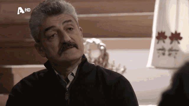 a man with a mustache is on a hd channel