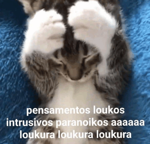 Gato Louco GIF