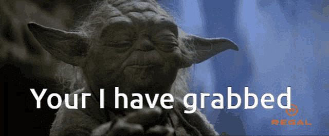a picture of yoda with the words " your i have grabbed " below him