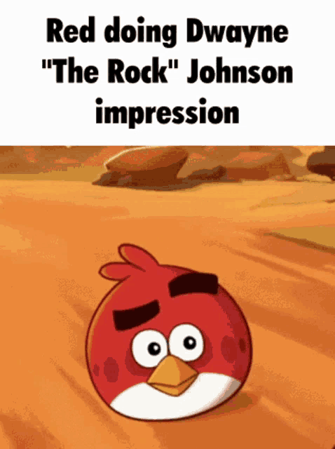 a red angry bird with the words " red doing dwayne the rock " johnson impression