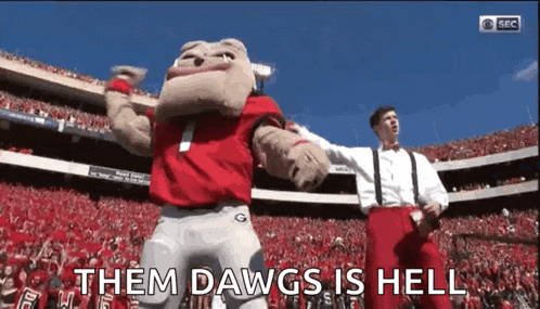 a mascot is dancing in a stadium with the words them dawgs is hell