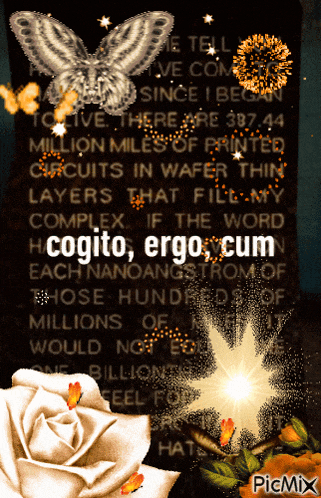 a picture of a sign that says cogito ergo cum on it