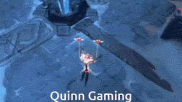a video game with the name quinn gaming written on it