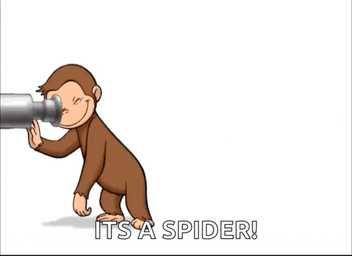 a close up of a monkey 's face with the words it 's a spider written below it