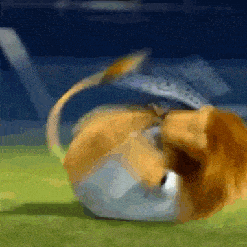 a lion is laying on its back on a field