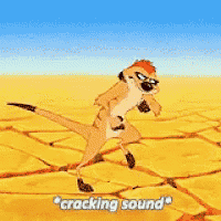 a meerkat from the lion king is dancing in the desert with the words cracking sound behind him .