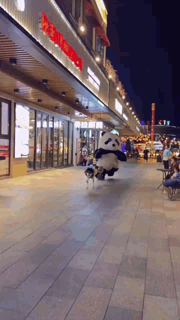 Panda Run GIF - Panda Run Panda Run GIFs