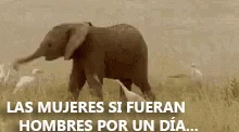 Mujer Hombre GIF - Mujer Hombre Broma GIFs