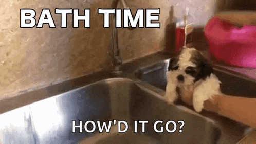 a puppy is being bathed in a sink and the caption says bath time how 'd it go