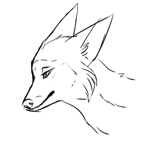 a black and white drawing of a dog 's head on a white background