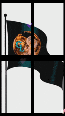 a black flag with a picture of an octopus and the letter g on it