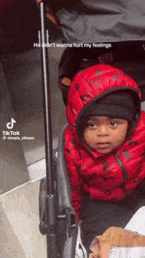 a little boy in a red jacket is sitting in a stroller
