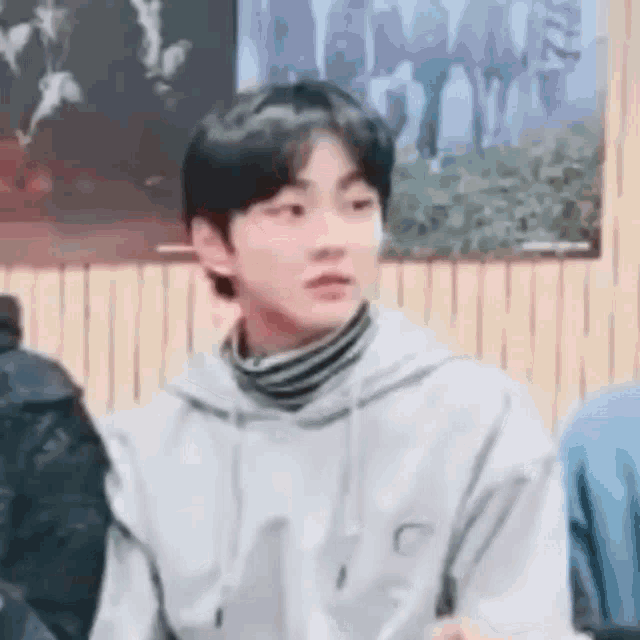 a young man wearing a gray hoodie and a striped turtleneck is sitting in front of a wooden wall .