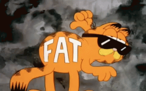 Garfield Fat GIF - Garfield Fat Cat GIFs