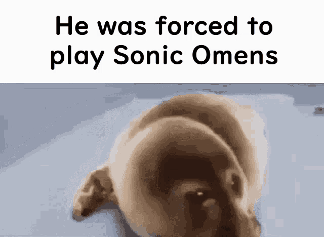 a picture of a dog with the words he was forced to play sonic omens