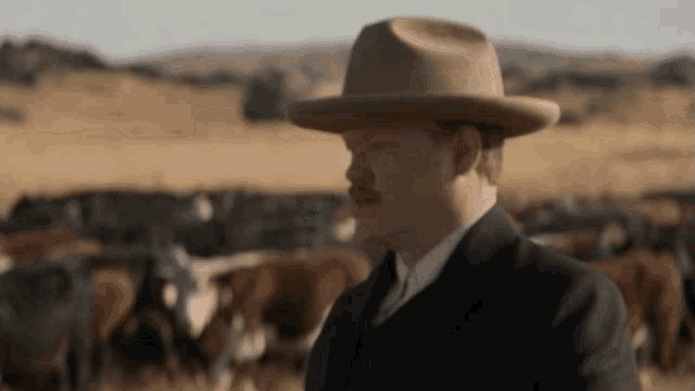 a man in a hat stands in front of a herd of cattle