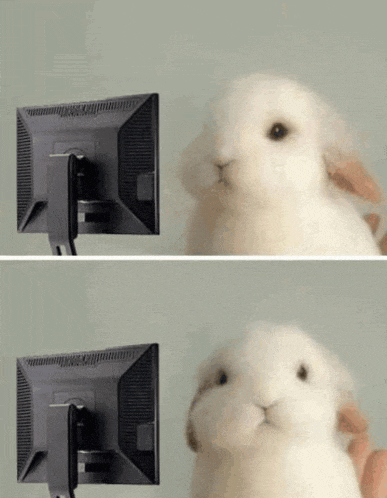 a white rabbit is sitting in front of a computer screen .
