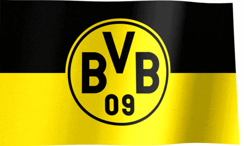a yellow and black flag with bvb 09 in a circle