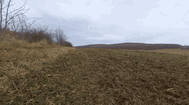 a dirt field with trees in the background and a hill in the distance