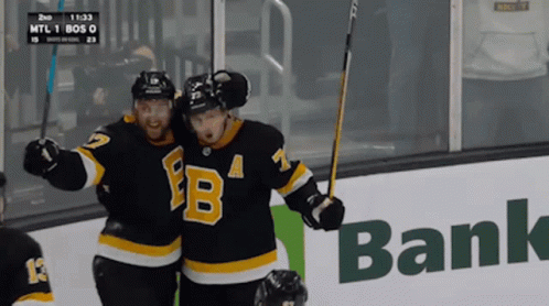 Boston Bruins Goal GIF - Boston Bruins Goal Bruins Goal GIFs