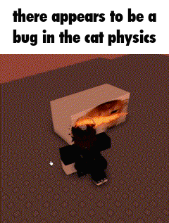 there appears to be a bug in the cat physics written on a screen