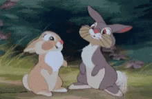 Disney Rabbit GIF - Disney Rabbit Thumper GIFs