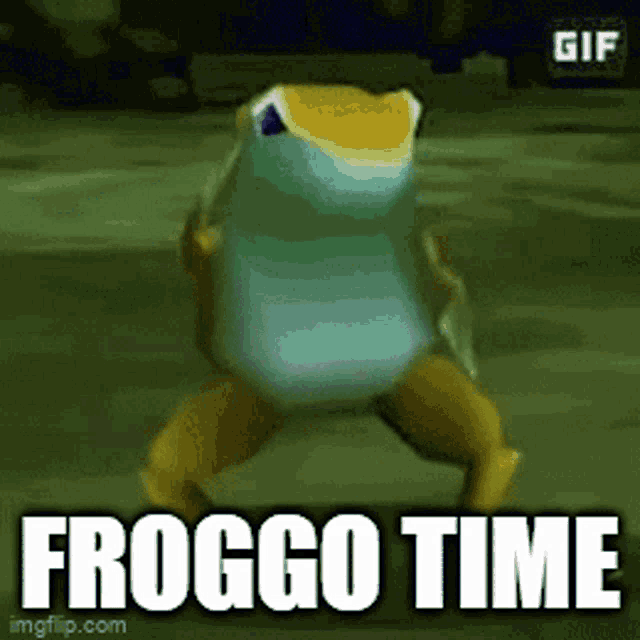 Froggo Froggo Time GIF - Froggo Froggo Time Don Froggo GIFs