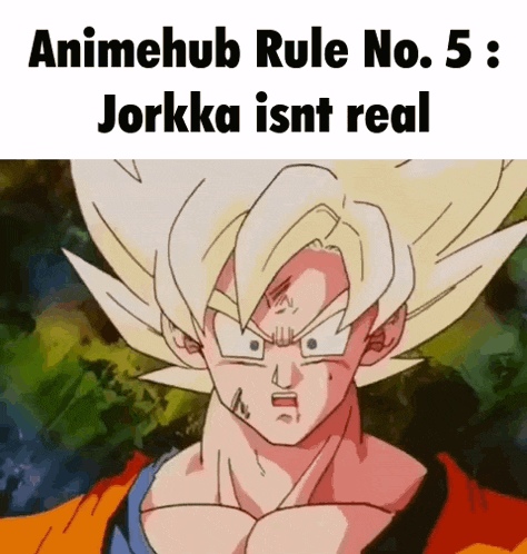 a picture of a cartoon character with the caption animehub rule no. 5 : jorkka isn t real