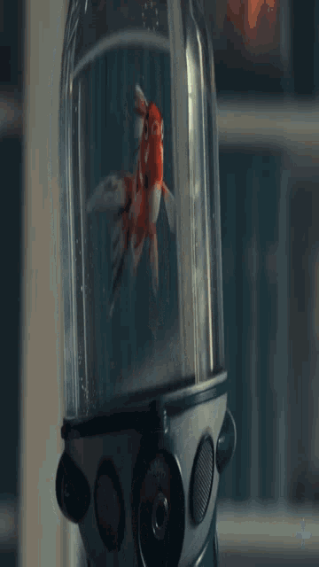 a fish is in a bottle with a gas mask on